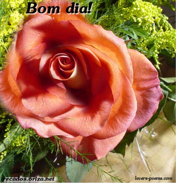 bom-dia-12-09
