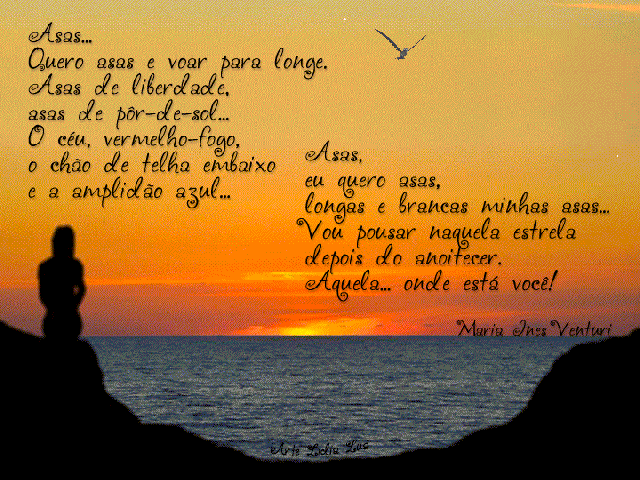 Maria Ines Venturi - asas - gif