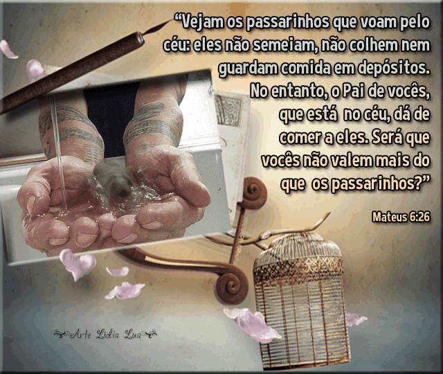 MATEUS 6-26 - GIF