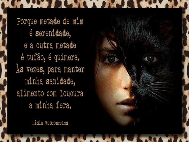 trova - fera- metade