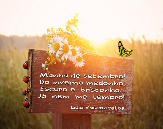 Trova - manhã de setembro