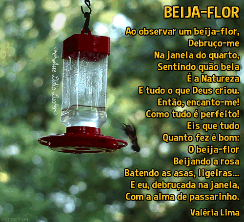 Valéria Lima - beija-flor