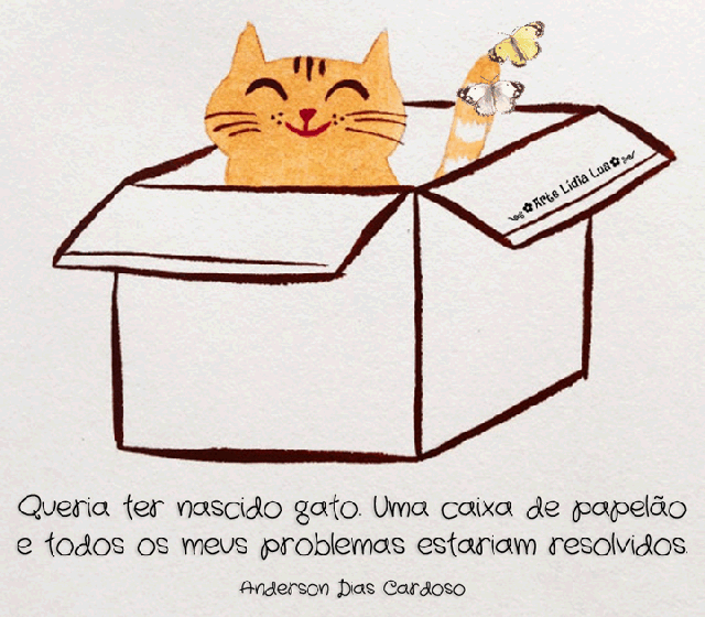 anderson dias cardoso - nascer gato - gif
