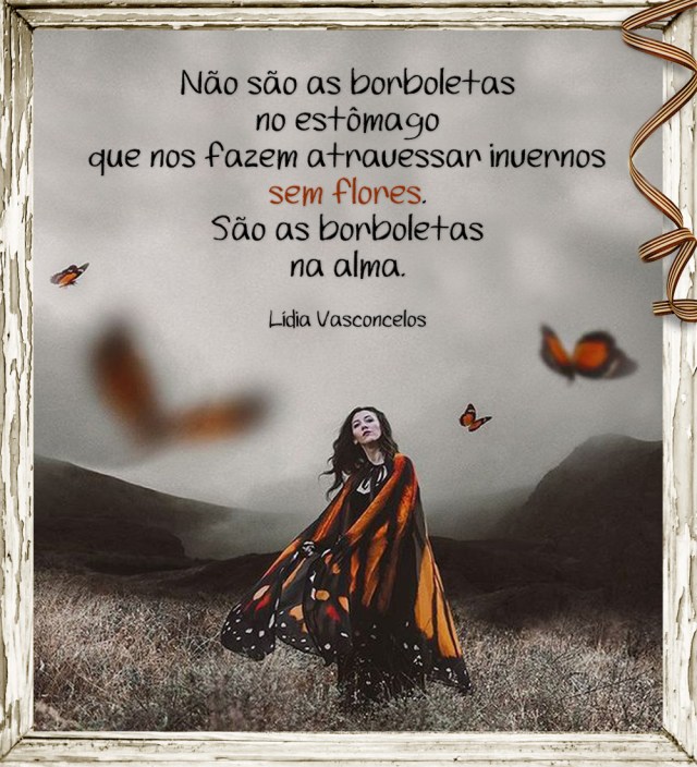 borboletas na alma 2
