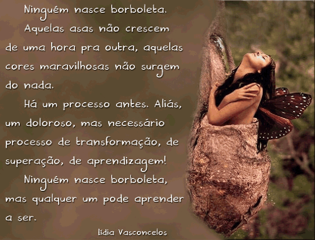 texto - ninguém nasce borboleta - gif