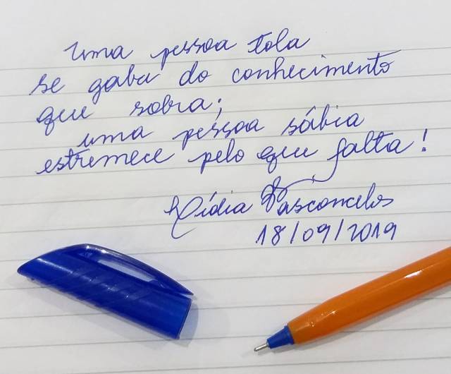 pessoa tola - 70997500_2983168045033734_4293553461485633536_o