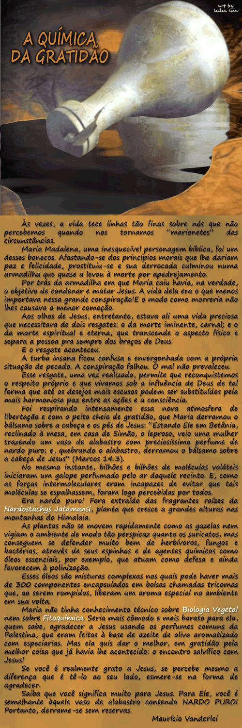 maurício - texto - a quimica da gratidao - mauricio vanderlei - GIF